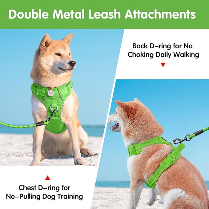 PoyPet Dog Harness and Leash Set, No Pull Adjustable Reflective Padded Pet Vest Oxford Harness with a Heavy Duty 5ft Dog Leash for Small Size Dogs (Green, S)