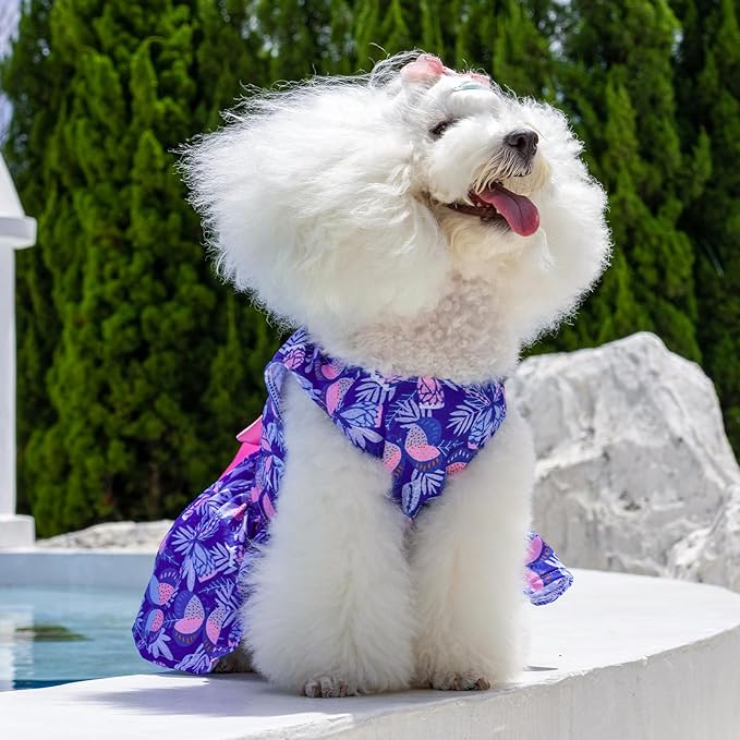 CuteBone Dog Mesh Dress Puppy Sundress Pet Outfit Summer Fashion for Small Dogs Girl Cat Clothes BF25L