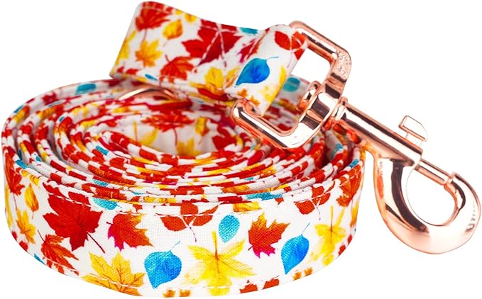Tunkoo Autumn Charm Dog Leash with Metal Buckle - Durable, Stylish, and Perfectly Sized for Fall Season Daily Walking M