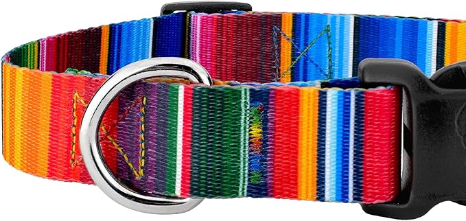 Country Brook Petz - Deluxe Serape Dog Collar - Made in The U.S.A. - Country and Western Collection Featuring Rustic Designs (1 Inch, Medium)
