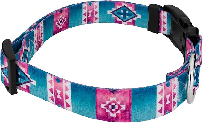 Country Brook Petz - Deluxe Albuquerque Dog Collar - Made in The U.S.A. - Country and Western Collection Featuring Rustic Designs (5/8 Inch, Small)