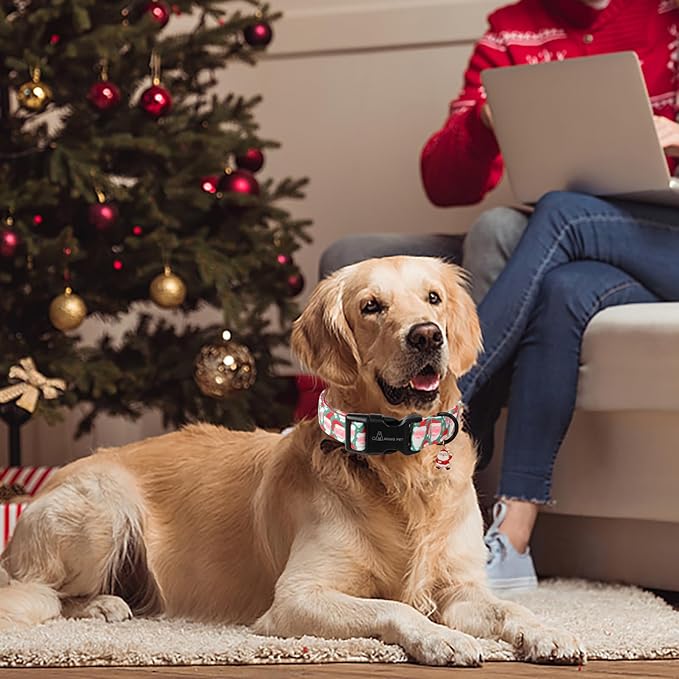 ARING PET Christmas Dog Collar-Cute Green Santa Claus Dog Collars, Adjustable Christmas Pet Collars Puppy Collar with Quick Release Buckle for Girl&Boy Dogs