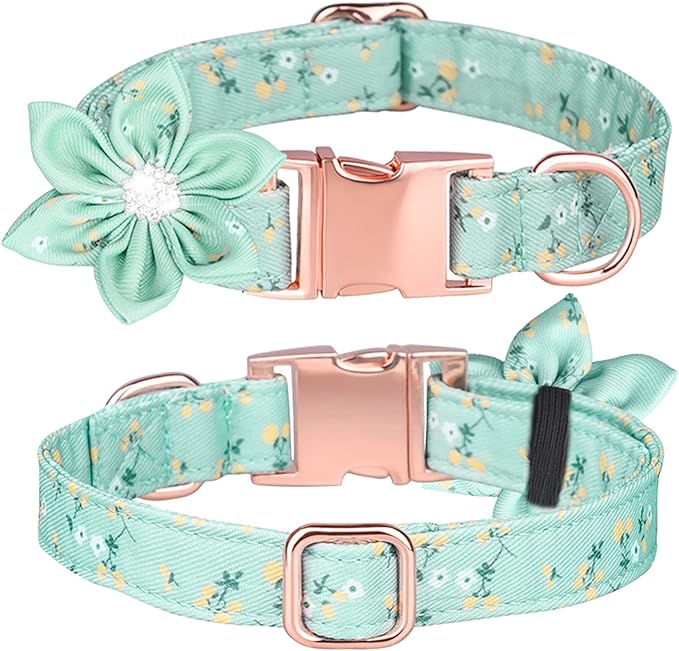 Floral Pattern Dog Collar - Cute Puppy Collar with Detachable Rhinestone Flower for Female Dogs - Small, Medium, Large (L, Green)