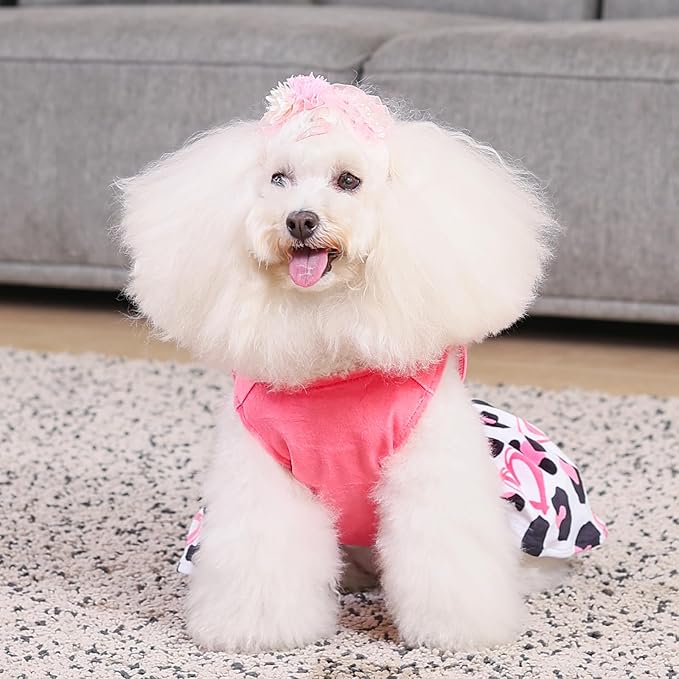 CuteBone Dog Dresses Velvet Mama's Girl Small Dogs Clothes Onesie Pet Apparel Girl Puppy Skirt with Bow Hair Rope CVA40XS-D