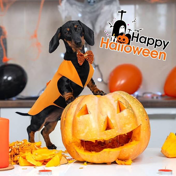 Kuoser Dog Tuxedo Suit and Bandana Set, Pumpkin Color Dogs Thanksgiving Outfit Adjustable Dog Halloween Costume with Bow Tie for Large Medium Small Dogs Golden Retriever Samo Bulldogs, XL