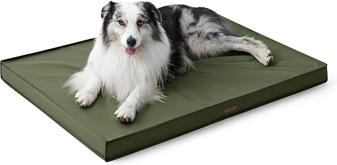 Lesure Outdoor Waterproof Dog Beds Large Sized Dog, Orthopedic Egg Crate Foam Pet Bed with Oxford Fabric Surface and Removable Washable Cover, Pet Mat 36''x27'', Green