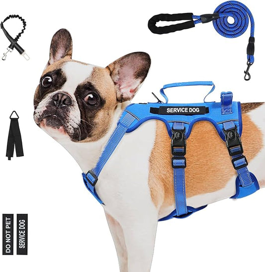 Escape Proof Dog Harness for Large Medium Sized Dogs Six Point Adjustable, Service Dog Vest Harness and Leash Set, No Pull Dogs Harnesses with Handle, Medium Dog Harnesses for Walking(Blue, S)