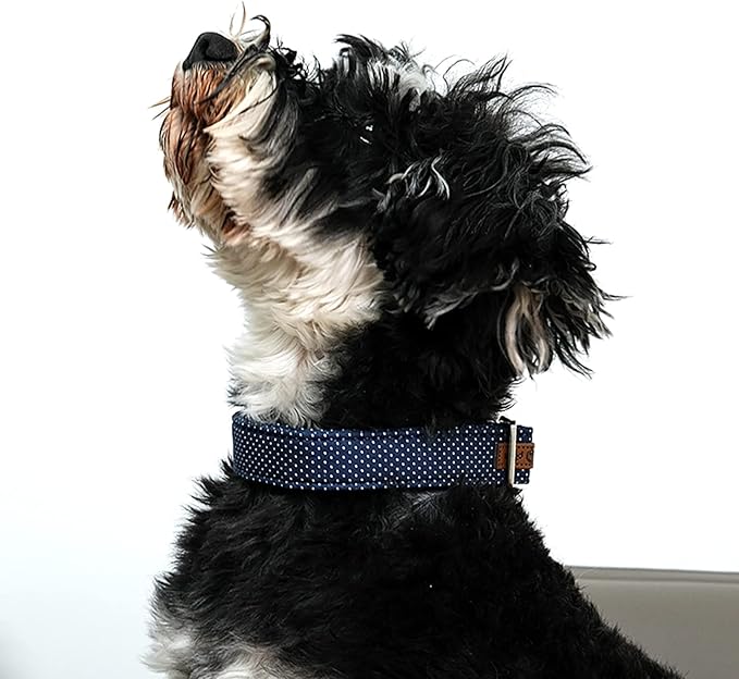 Lionet Paws Boy Dog Collar, Comfortable Adjustable Cute Navy Blue Collar with Metal Buckle for Male Puppies and Cats, XS, Neck 8-12 inches