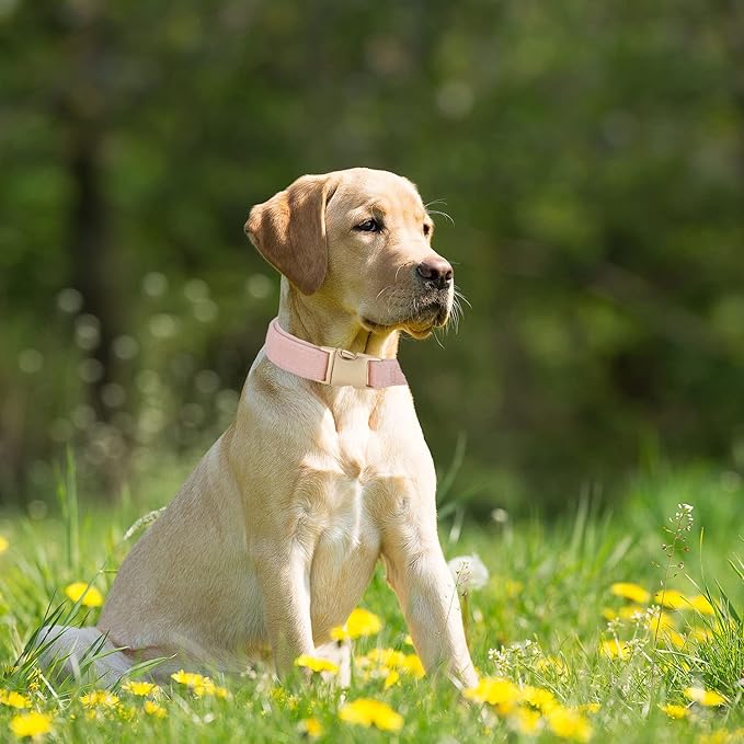 Soft Corduroy Dog Collar and Leash Set, Adjustable Cotton Dog Collars with Metal Buckle and Lead for Large Dogs,Baby Pink