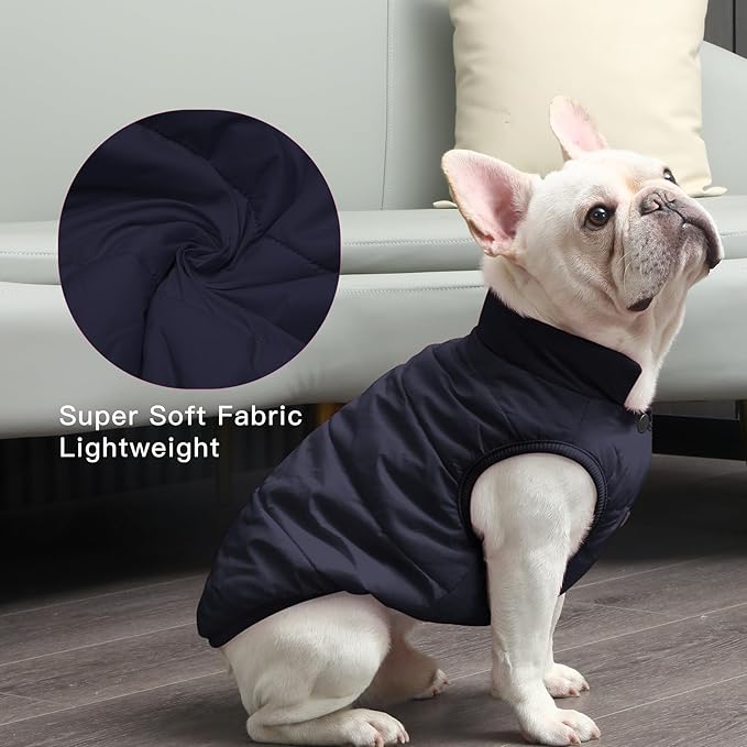 2 Layers Fleece Lined Warm Dog Jacket for Puppy Winter Cold Weather,Soft Windproof Small Dog Coat,Blue S