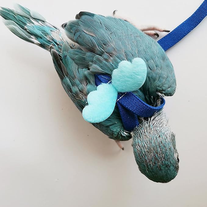 Peony Harness and Leash, Adjustable Parrot Bird Training Design Anti-Bite, Bird Nylon Rope with Cute Wing for Peony Parrot and Same Size Birds (M, Blue)