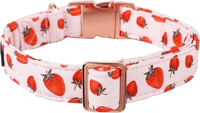 Lionet Paws Dog Collar, Comfortable Adjustable Cute Collar with Metal Buckle for Male Female Puppies and Cats, Strawberry Pattern, XS, Neck 8-12 inches