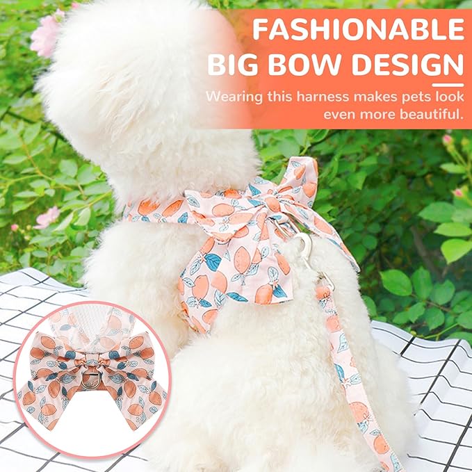 BAEJMJK Dog Harness and Leash Set with Bow Knot No Pull Pet Floral Harness with D-Ring Soft Mesh Dog Harness Vest Set Escape Proof Princess Puppy Harness for Small Girl Dogs Cats(Orange L)