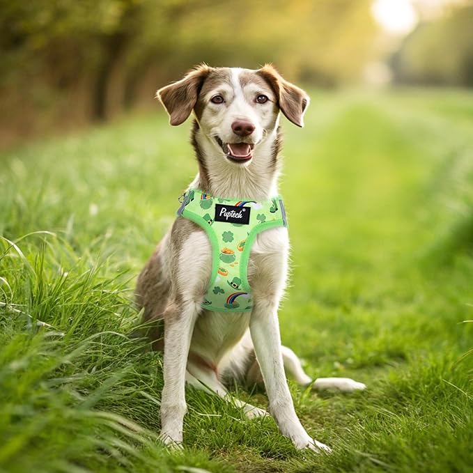 PUPTECK Dog Harness and Leash Set for Small Medium Dogs No Pull Step-in Soft Mesh Puppy Cat Vest Harnesses Reflective at Night, St. Patrick's Green, M