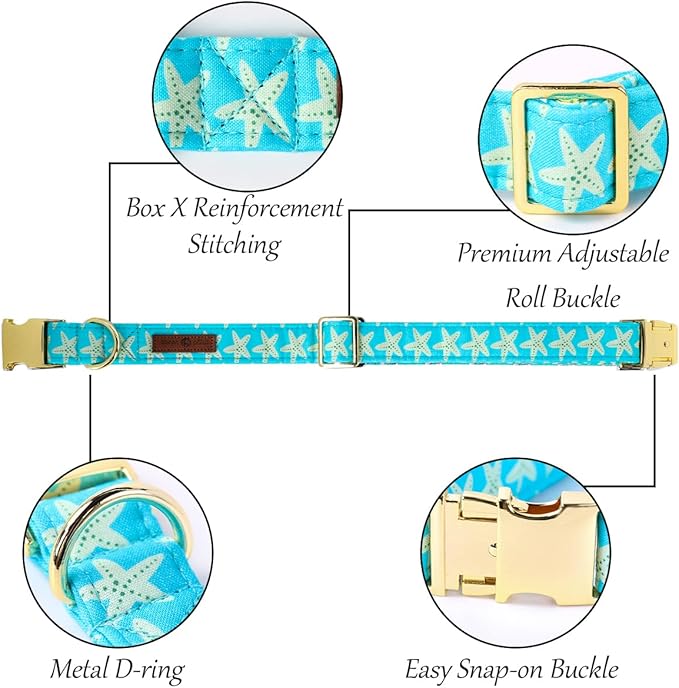 Lionet Paws Summer Dog Collar with Bowtie, Soft Comfortable Adjustable Cute Starfish Bowtie Collar for Dogs Male Female Gift, Medium, Neck 13.5-22 inches