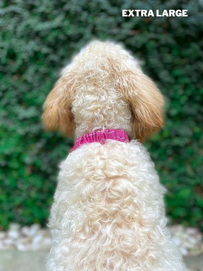 Heavy Duty Dog Collar with Handle | Ballistic Nylon Heavy Duty Collar | Padded Reflective Dog Collar with Adjustable Stainless Steel Hardware | Convenient Sizing for All Breeds X-Large (19-23" Neck)