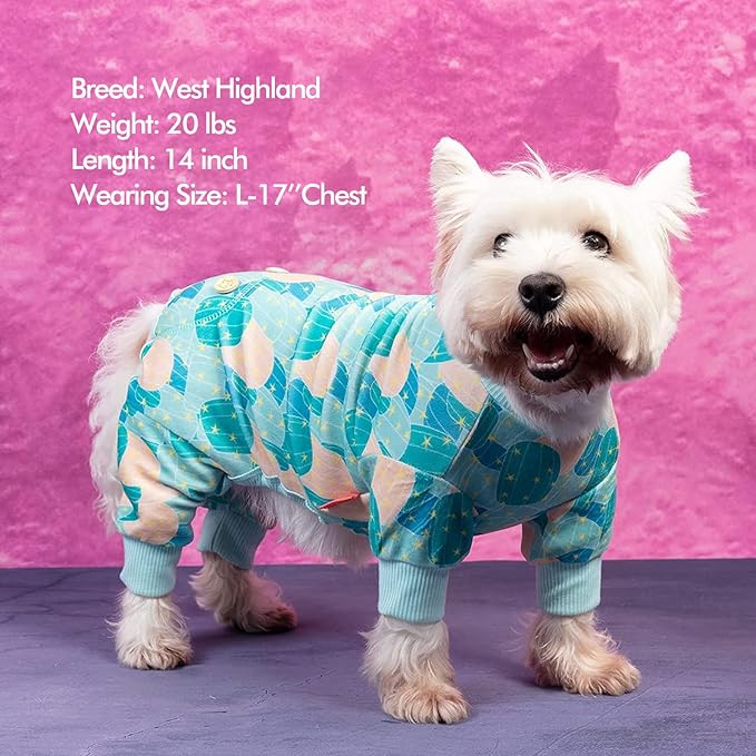KYEESE Dog Pajamas Velvet Dog Pajamas Small Sized Dogs Dogs Pjs with Cactus Pattern Soft Doggie Jammies Stretchy Doggie Clothes Puppy Onesie Comfy Pet Coat Pet Costume, X-Small