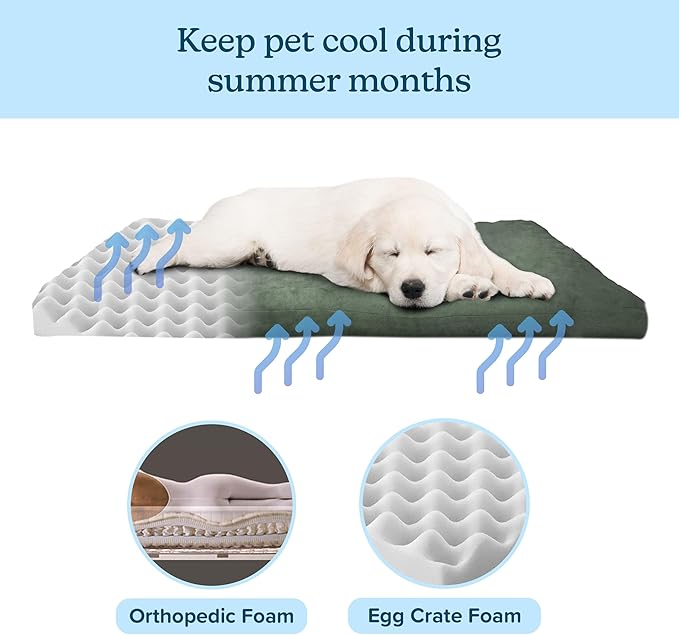 Petmaker Water-Resistant Dog Bed - Orthopedic Dog Bed with Removable Washable Cover, Non-Slip Bottom, and Egg Crate Style Foam - 44in Large Pet Mattress - Puppy Essentials (Green)