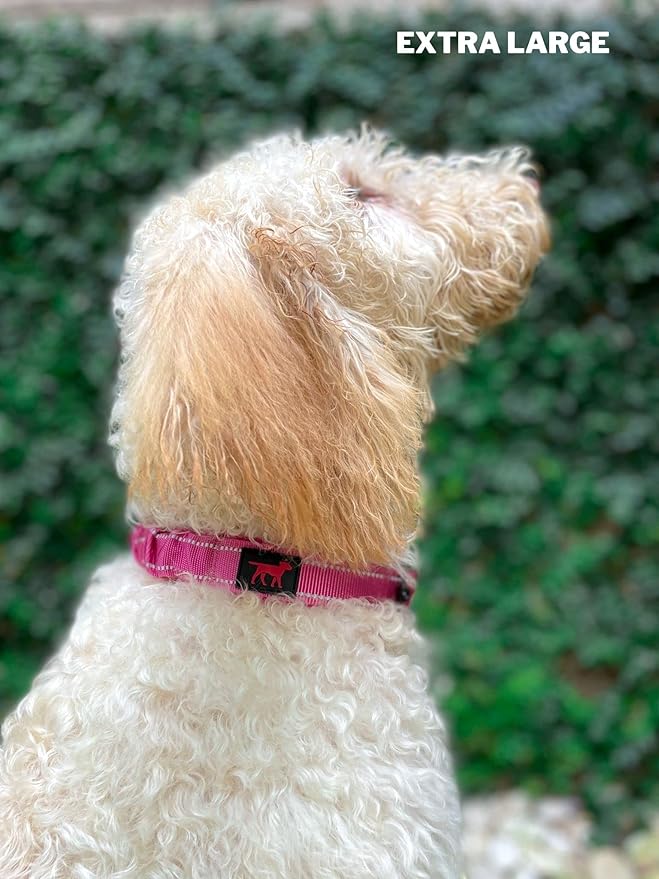 Heavy Duty Dog Collar with Handle | Ballistic Nylon Heavy Duty Collar | Padded Reflective Dog Collar with Adjustable Stainless Steel Hardware | Convenient Sizing for All Breeds X-Large (19-23" Neck)