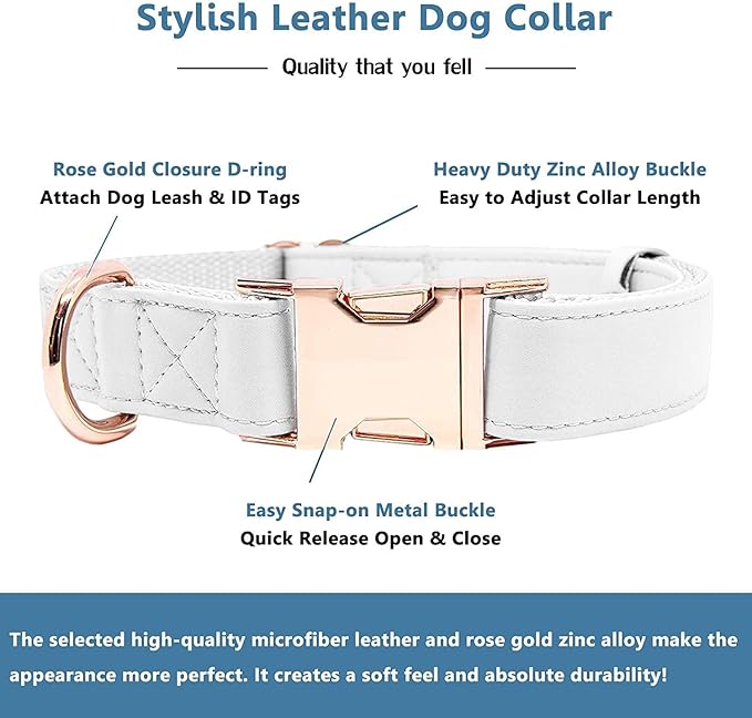 Soft Leather Dog Collar and Leash (6.6') Set - Stylish Rose Gold Heavy Duty Metal Buckle, 4 Adjustable Lengths Leash for Small Medium Large Dogs - Comfortable & Easy to Clean White S(12.2"-16.9")