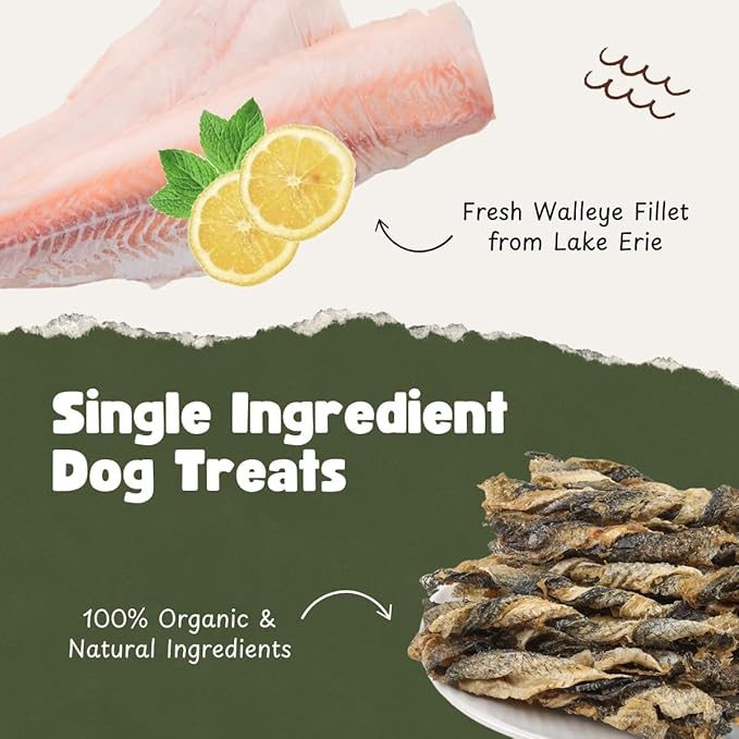 Fish Dog Treats for Small, Medium, Large Dogs | One-Ingredient Natural Organic Dog Training Treats | Human-Grade, High-Protein, Low-Fat, Omega 3, Grain-free | Satisfy Urge to Chew (1LB/16oz Bag)