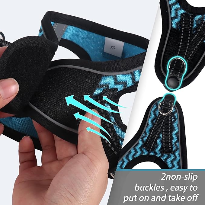 Dog Harness for Small Dogs and Leash Set, Honeycomb Grid, Reflective Lightweight Harness & Anti-Twist Pet Lead (Multi Color, Size: XS-S-M) (M, Blue)