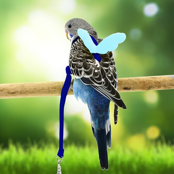Budgerigar Harness and Leash, Adjustable Parrot Bird Training Design Anti-Bite, Bird Nylon Rope with Cute Wing for Budgerigar and Same Size Birds (S, Blue)
