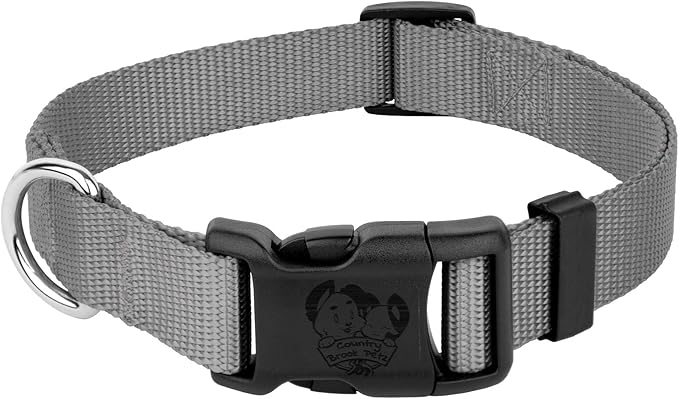 Country Brook Petz - American-Made Dog Collar for Large, Medium, and Small Dogs and Puppies - Deluxe Heavy Duty Nylon in 33 Dazzling Colors (3XS, 3/8 Inch Wide, Silver)