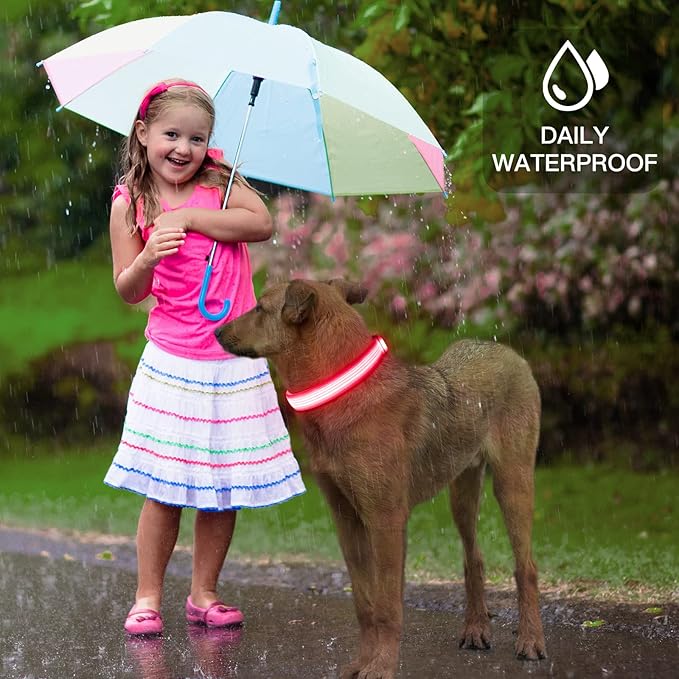 YFbrite Light up Dog Collar, USB Rechargeable LED Puppy Collar Super Bright Adjustable Glowing Dog Lights for Night Walking (Design 2- Pink, Large)