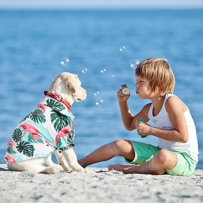Weewooday 4 Pieces Pet Summer T-Shirts Hawaii Style Floral Pet Dog Shirt Breathable Cool Clothes Beach Seaside Puppy Sweatshirt for Small Puppy(Lovely Style,Small)