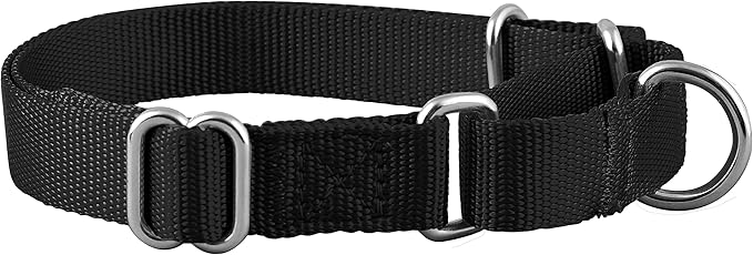 Native Pup Martingale Dog Collar, Adjustable for Small, Medium, Large pet and Puppies Accessories, Cute Colors for Male, Female, Boy, Girl, Puppy (Large, Black)