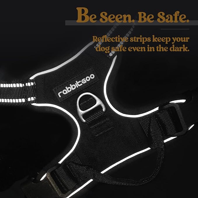 rabbitgoo Dog Harness No Pull with 2 Leash Clips, Adjustable Soft Padded, Reflective Oxford No Choke Pet Vest with Easy Control Handle for Medium Sized Dogs, Black, M