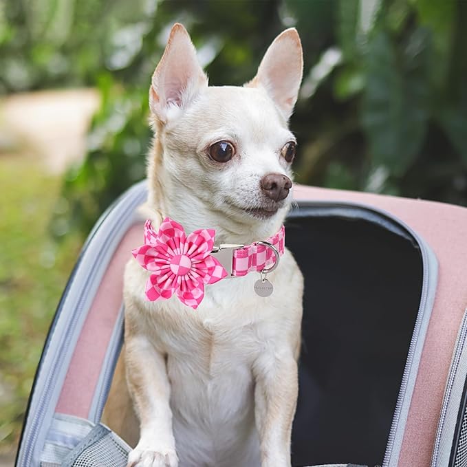 Dog Collar with Flower, UP URARA PUP Cute Pink Dog Bowtie Collar, Detachable Flower Bow Puppy Collar with Metal Buckle for Dogs,L