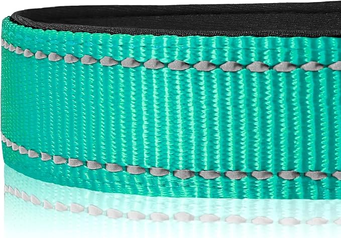 Joytale Reflective Dog Collar,Soft Neoprene Padded Breathable Nylon Pet Collar Adjustable for Extra Large Dogs,Teal,XL