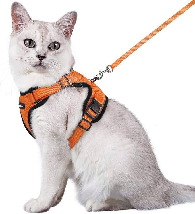 rabbitgoo Cat Harness and Leash for Walking, Escape Proof Soft Adjustable Vest Harnesses for Cats, Easy Control Breathable Reflective Strips Jacket, Orange, M