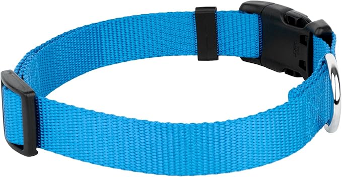Country Brook Petz - American-Made Dog Collar for Large, Medium, and Small Dogs and Puppies - Deluxe Heavy Duty Nylon in 33 Dazzling Colors (2XS, 3/8 Inch Wide, Ice Blue)
