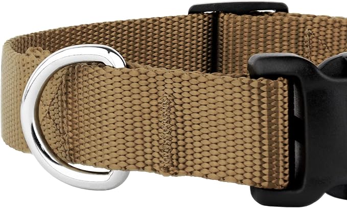 Country Brook Petz - American-Made Dog Collar for Large, Medium, and Small Dogs and Puppies - Deluxe Heavy Duty Nylon in 33 Dazzling Colors (2XS, 3/8 Inch Wide, Coyote Tan)