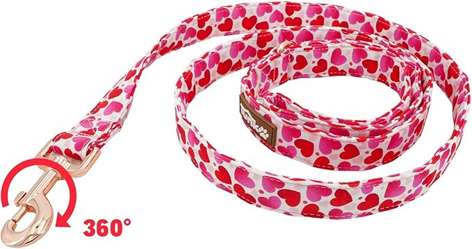Tunkoo Valentine's Day Dog Leash with Metal Buckle - Durable, Stylish, and Perfectly Sized for Fall Season Daily Walking L