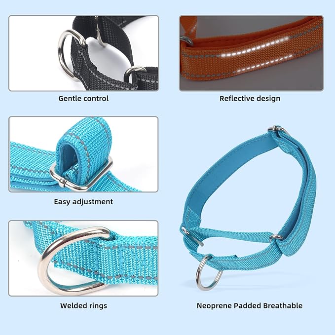 SGODA Martingale Dog Collar, Reflective Nylon Padded Dog Training Collars for Large Dogs, Blue L