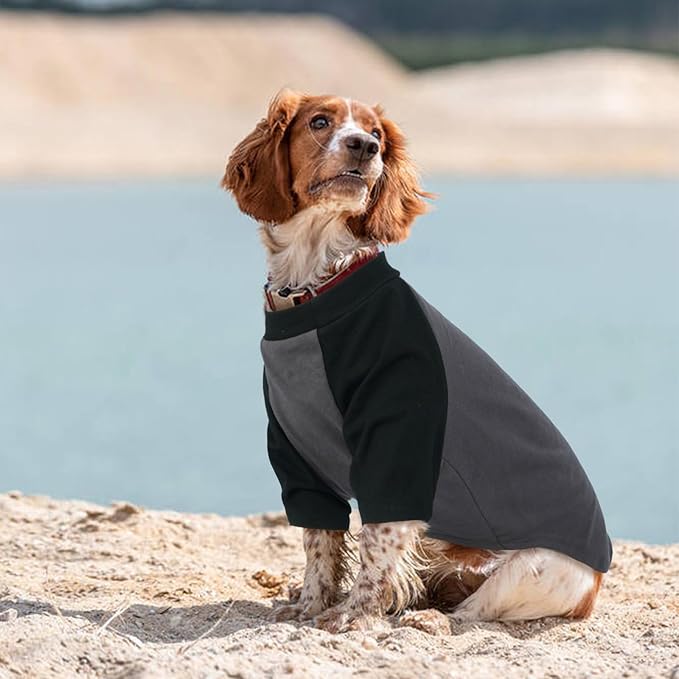 2 Pack Dog Shirts Pet Tshirt with Sleeves Soft Tank Top for Sensitive Skin Sun Protection, Breathable & Stretchy Dog Clothes for Small to Large Dogs Lightweight Summer Pet Outfit, Grey+Orange