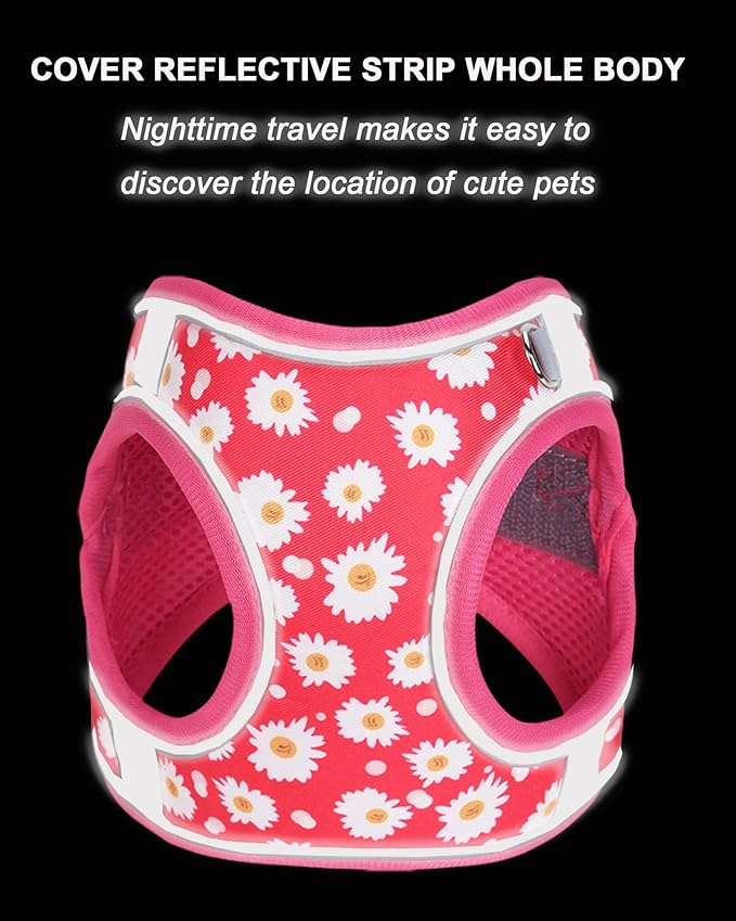 XXS ROSEO Flower Pattern Dog Harness and Leash Set,No Escape Puppy Harnesses for Training Walking,Breathable Adjustable Puppy Vest for Small Medium Dogs, Cats (ROSEO, XXS)