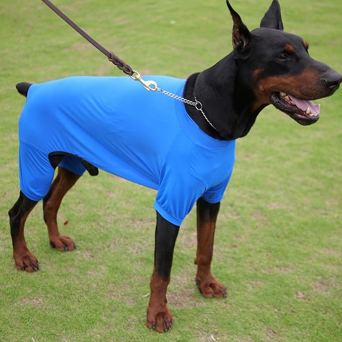 LoveLongLong Dog Jumpsuit with UV Protection and Quick-Dry Fabric for Spring Summer Pet Pajamas Royel Blue S