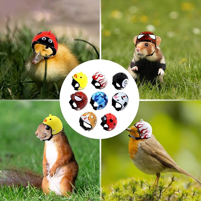 8 Pcs Chicken Helmet Safety Chicken Hats Adjustable Elastic Helmet Hens Helmet Parrot Bird Hat Pet Costumes for Small Pet Chicken Parakeet Pet Supplies