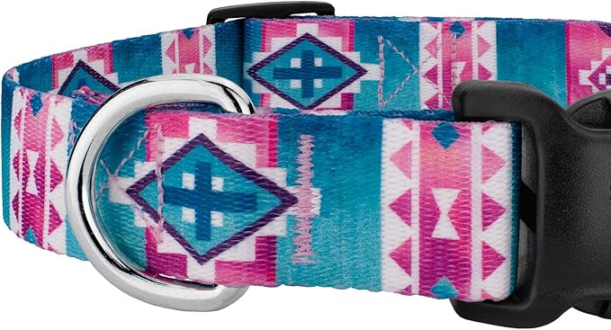Country Brook Petz - Deluxe Albuquerque Dog Collar - Made in The U.S.A. - Country and Western Collection Featuring Rustic Designs (1/2 Inch, 2XS)