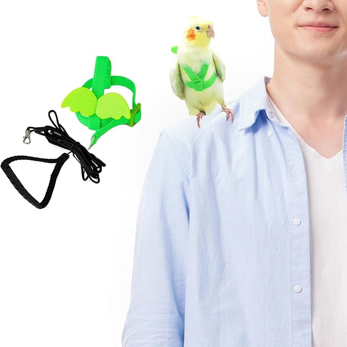 Adjustable Bird Leashes and Harnesses, Bird Nylon Harness with Cute Wing for Parrots, Pet Bird Accessories, Bird Leash for Hang Out, Suitable for Cockatiel, Quaker, Amazon Parrot and Same Size Birds