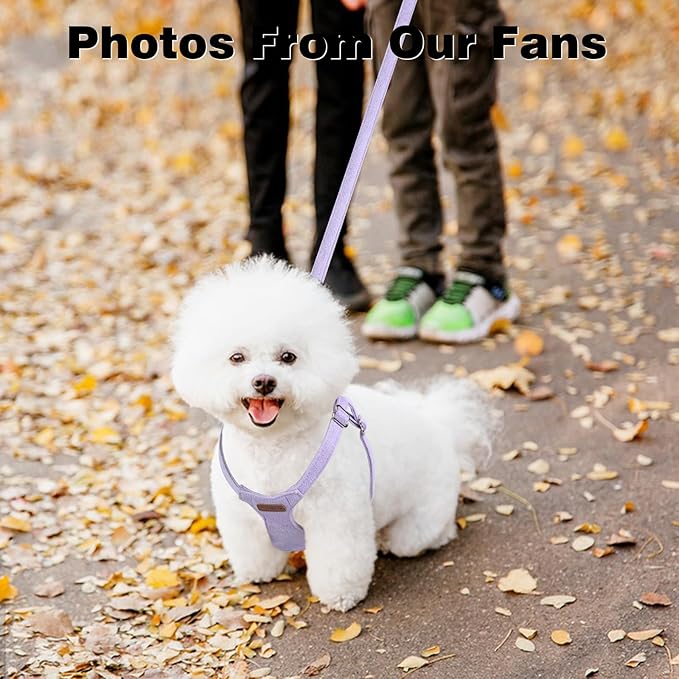 Dog Harness and Leash Set, XXS No Pull Adjustable Puppy Harness with Multifunction Purple Dog Leash and Collar, Soft No Choke Escape Proof Pet Harness Vest for Small Dogs and Cats (Purple, XXS)