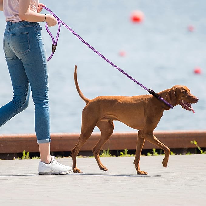 TwoEar Dog Slip Rope Leash - 6FT Heavy Duty Training Leash with Reflective Threads for Small to Large Dogs (Slim(3/8''x6ft), Purple)