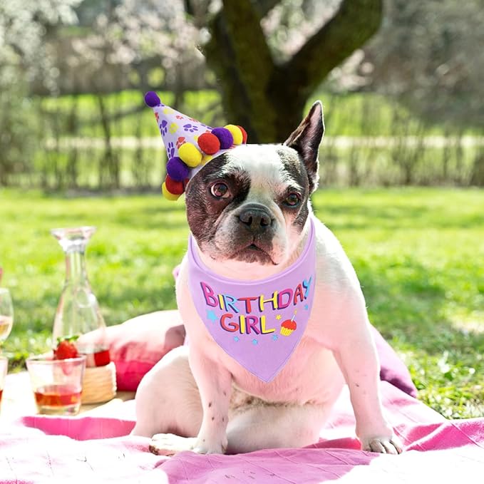PUPTECK Dog Birthday Bandana Scarf with Cute Doggy Party Hat, Costume Decorations Supplies for Small Medium Large Dogs Boy Girl Outfit Gifts, Purple