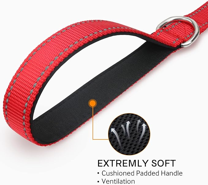 Joytale Double-Sided Reflective Dog Leash, 6 FT/5 FT/4 FT, Padded Handle Nylon Heavy Duty Leashes for Small & Medium Dogs Walking, Red, 4FT