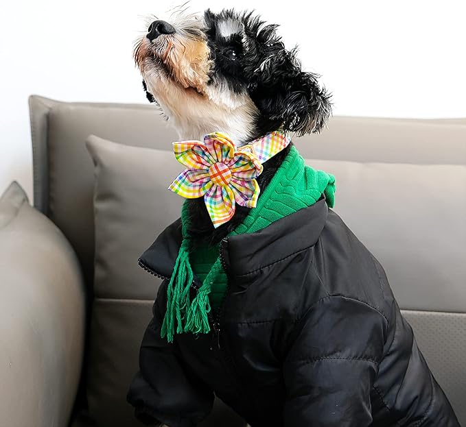 Lionet Paws Easter Dog Collar with Flower - Colorful Cute Cotton Flower Dog Collar with Metal Buckle for Medium Dog Girl, M, Neck 13.5-22in